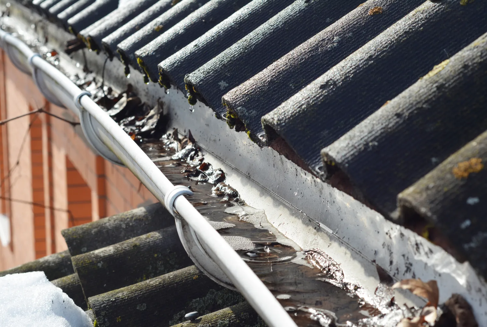 4 Roof Maintenance Tips for Spring