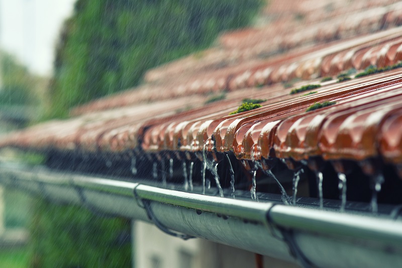 Rain