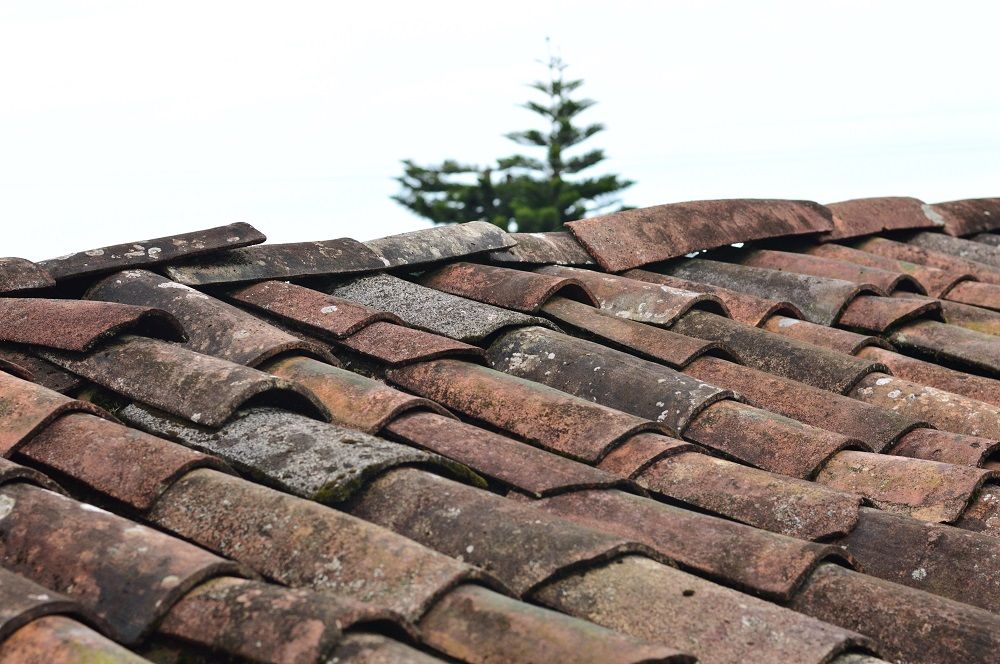Weathered Red Roof