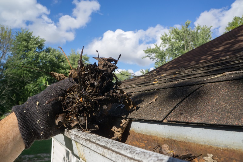 Debris in Gutter