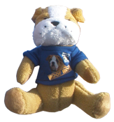 Findlay Roofing stuffed bulldog