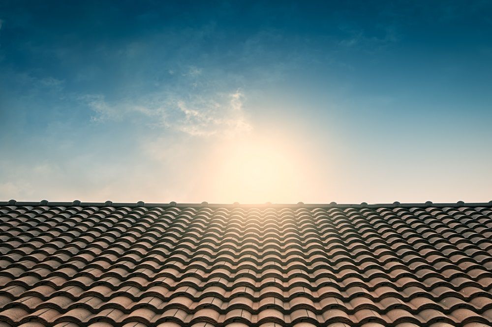 Clean Roof
