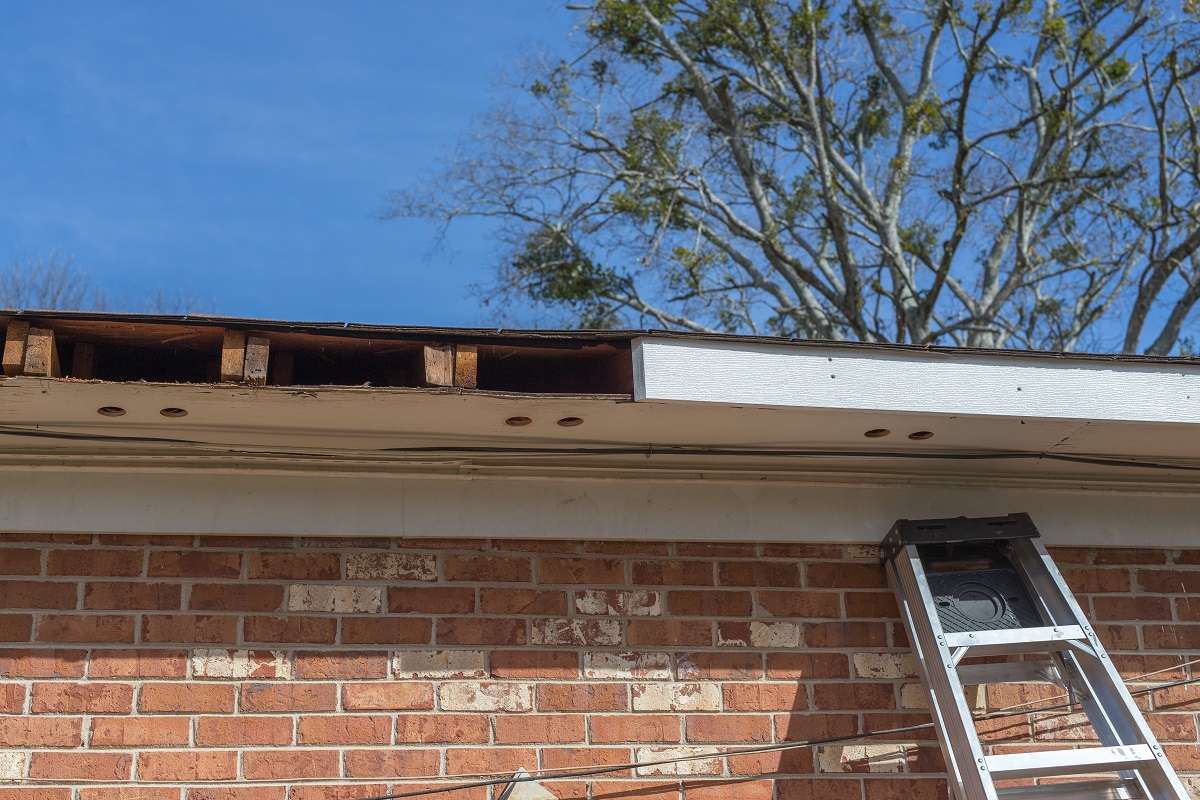 Rotten Fascia