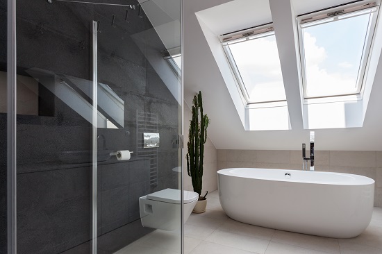 Skylight 2