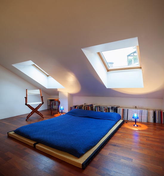 Skylight 1