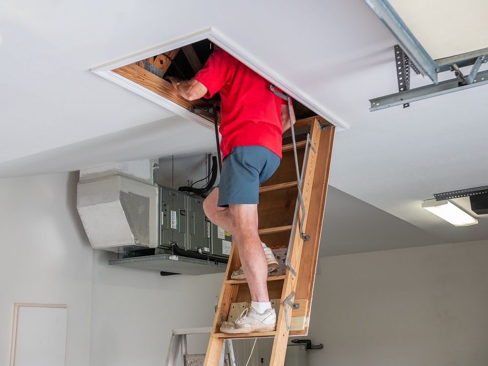 Checking Attic