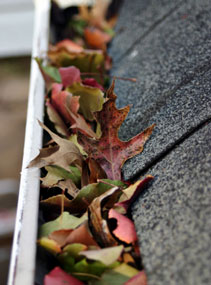leaves-gutter