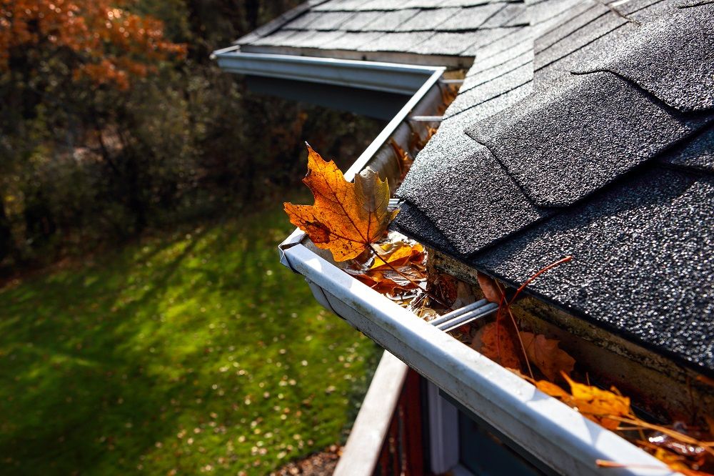 Autumn Leaves in Roof Gutter