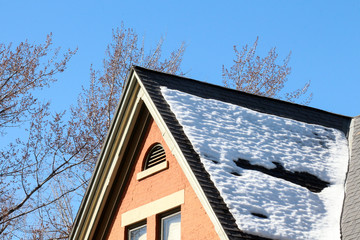 Shingles Roof