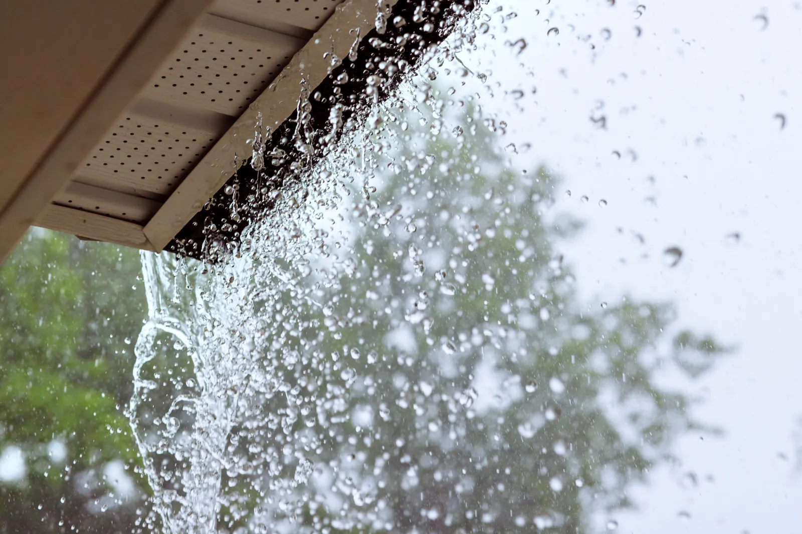 Rainy Season Preparedness: How to Ensure Your Gutters Are Ready
