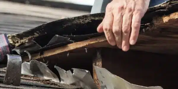 roof repair