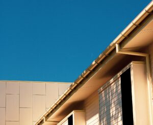 Gutter services