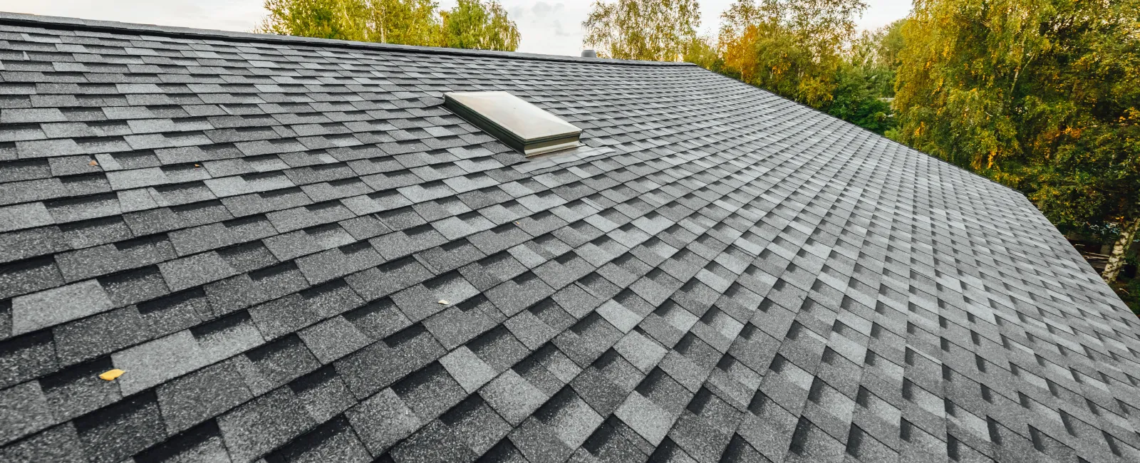 Roof Installation